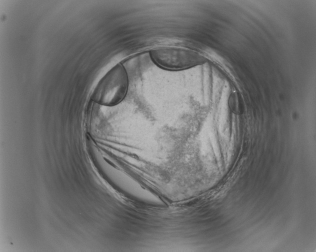 X0000068901235200605261903