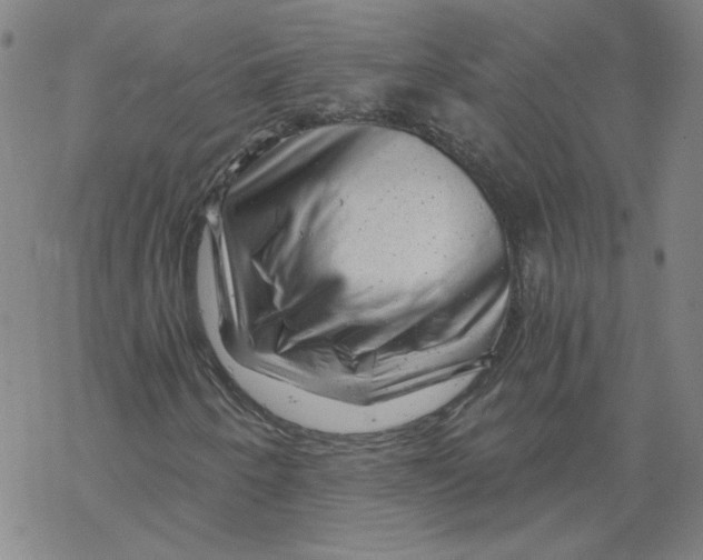 X0000068901250200605261902