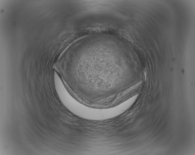 X0000068901251200605261902