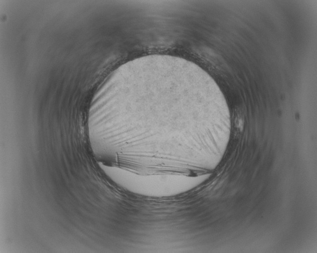 X0000068901252200605261902