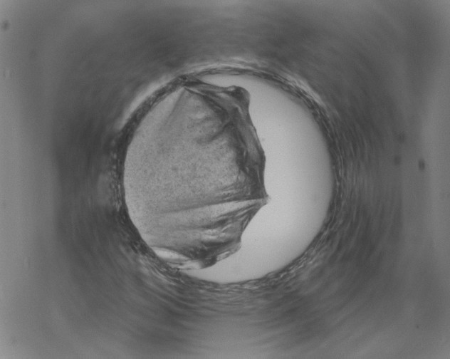 X0000068901256200605261902