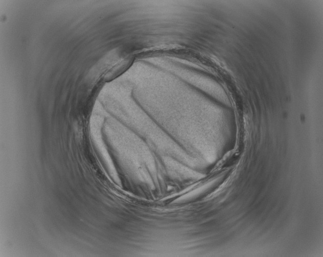 X0000068901257200605261902