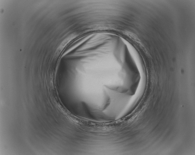 X0000068901273200605261902