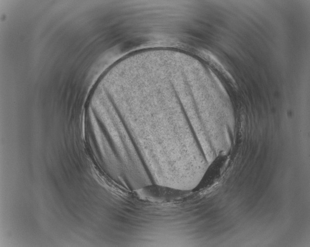 X0000068901276200605261902