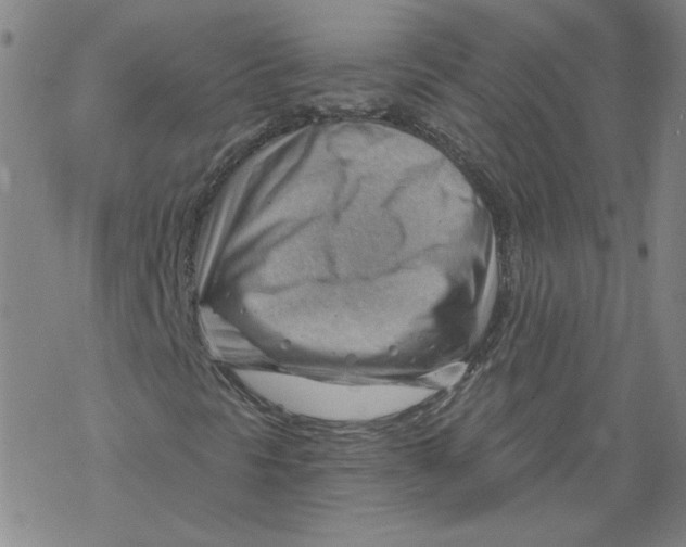 X0000068901297200605261900