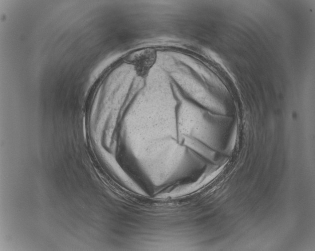 X0000068901320200605261901