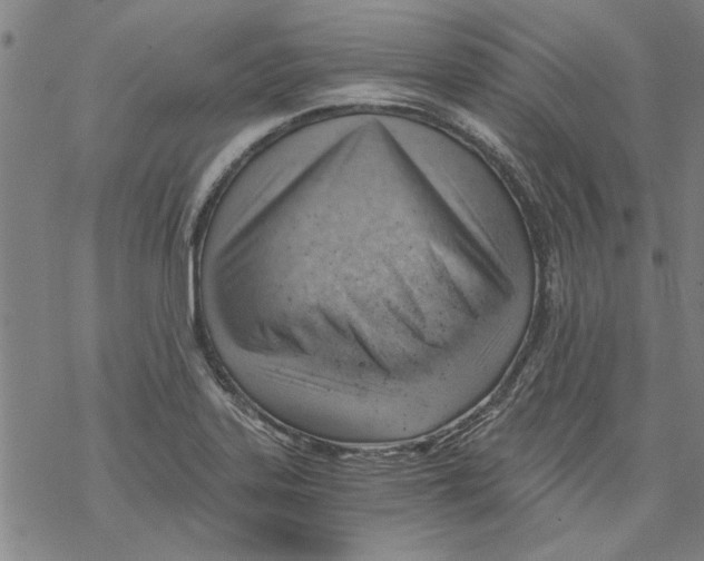 X0000068901323200605261901