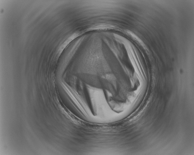 X0000068901329200605261901
