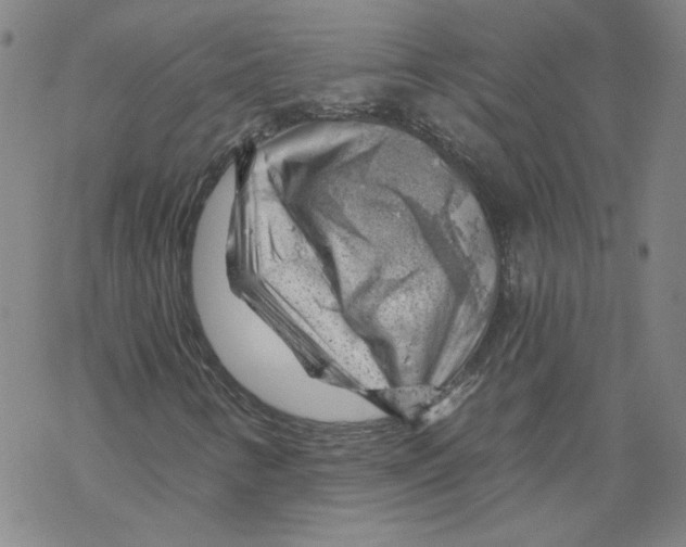 X0000068901346200605261900