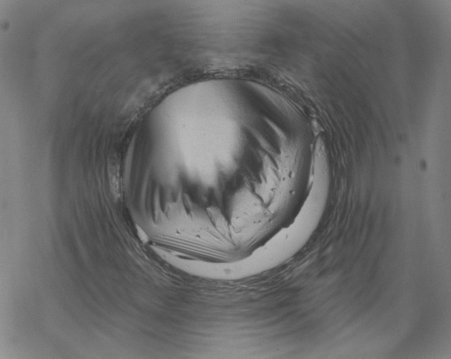 X0000068901348200605261900