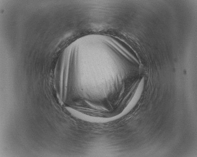 X0000068901349200605261900