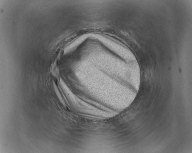 X0000068901350200605261900