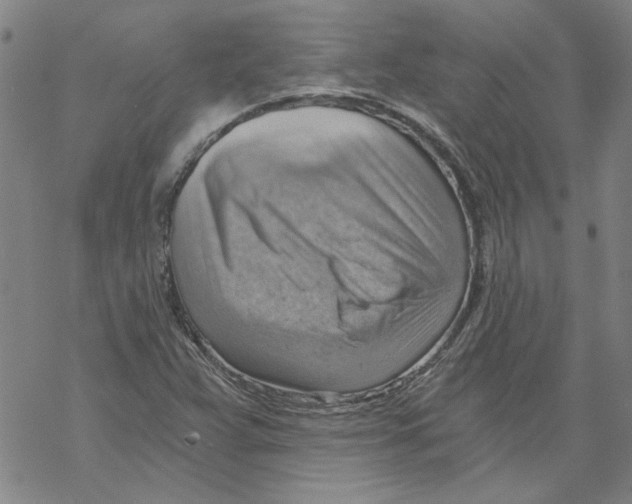 X0000068901359200605261900