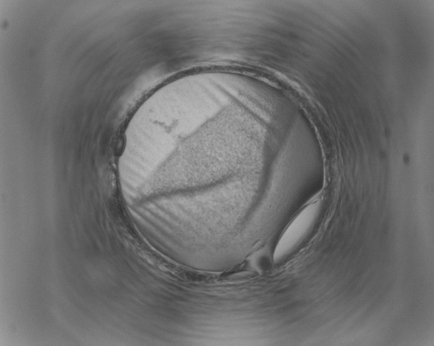 X0000068901363200605261900