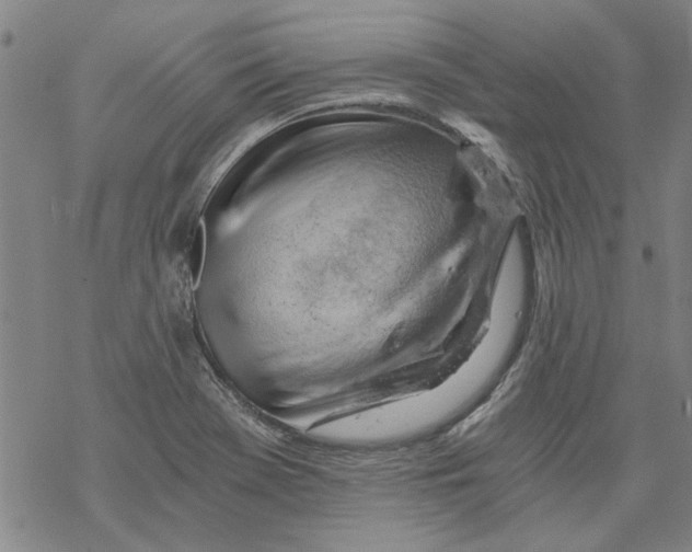X0000068901369200605261900