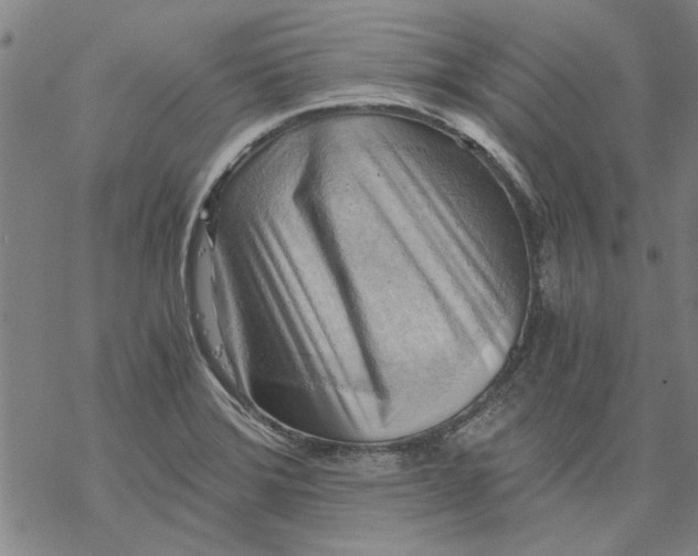 X0000068901372200605261900