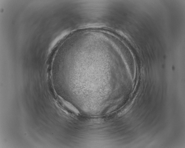 X0000068901406200605261859
