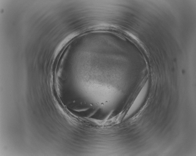 X0000068901418200605261859