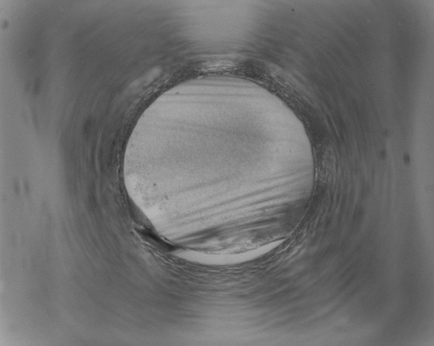 X0000068901441200605261859