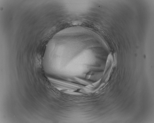 X0000068901443200605261859