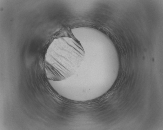 X0000068901444200605261859