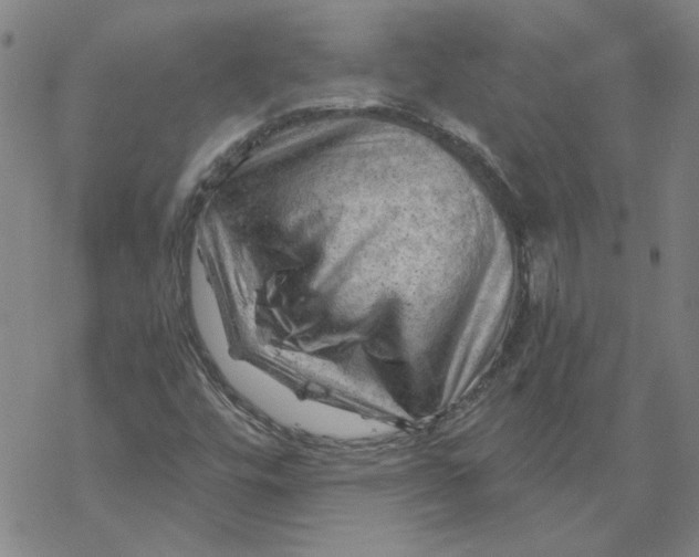 X0000068901448200605261859