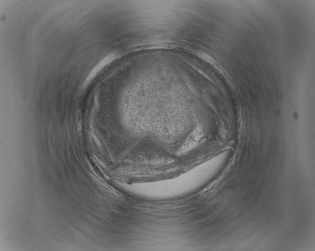 X0000068901450200605261859