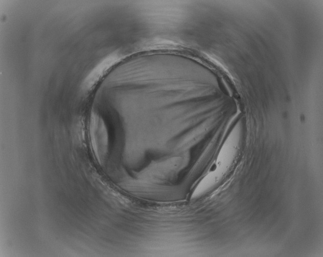 X0000068901455200605261859