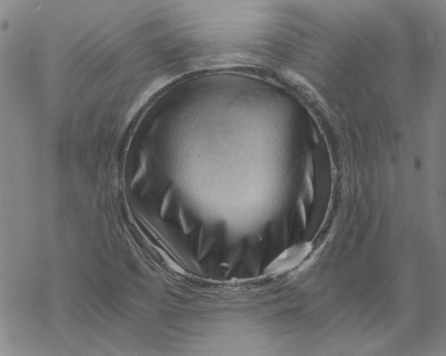 X0000068901457200605261859
