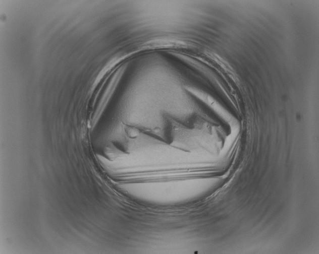X0000068901465200605261858