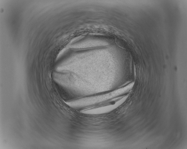 X0000068901489200605261857