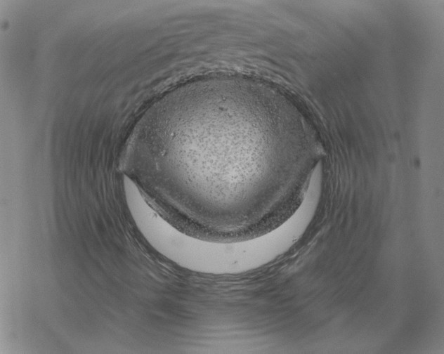 X0000068901490200605261857