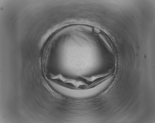 X0000068901503200605261858