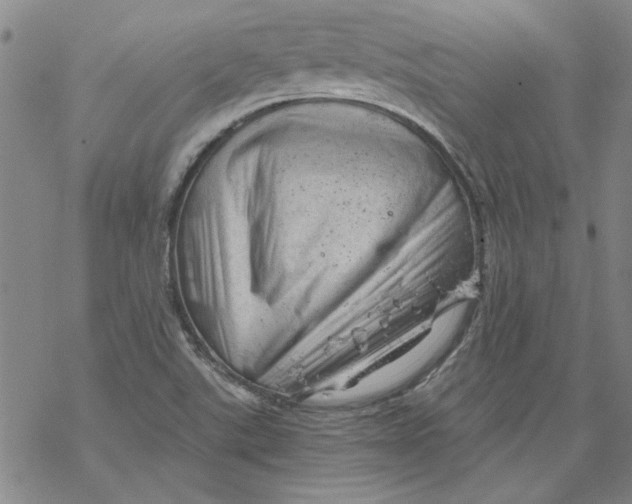 X0000068901507200605261858
