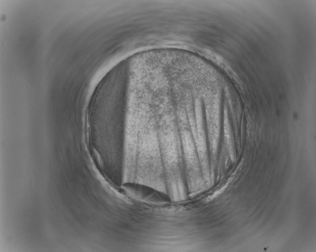 X0000068901520200605261858