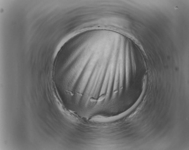 X0000068901530200605261858
