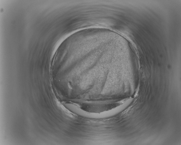 X0000068901532200605261858