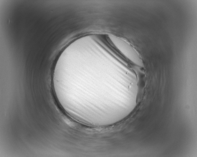 X0000068900005200606021957