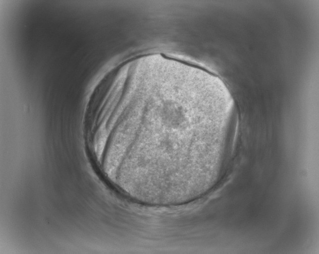 X0000068900007200606021957