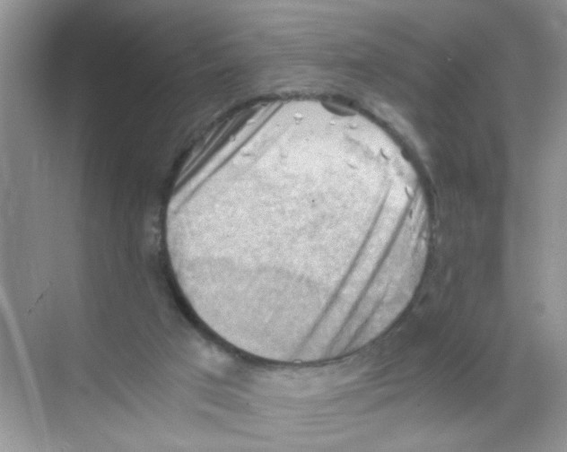 X0000068900017200606021957