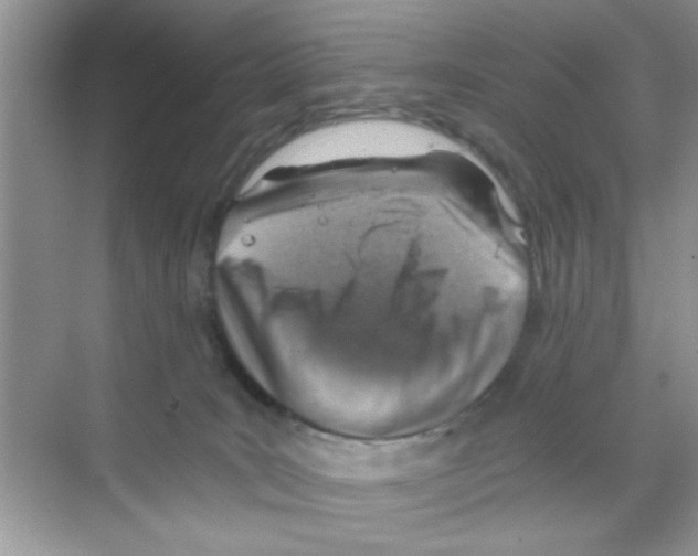 X0000068900035200606021957