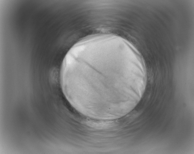 X0000068900036200606021957
