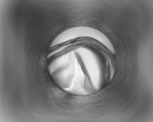 X0000068900037200606021957