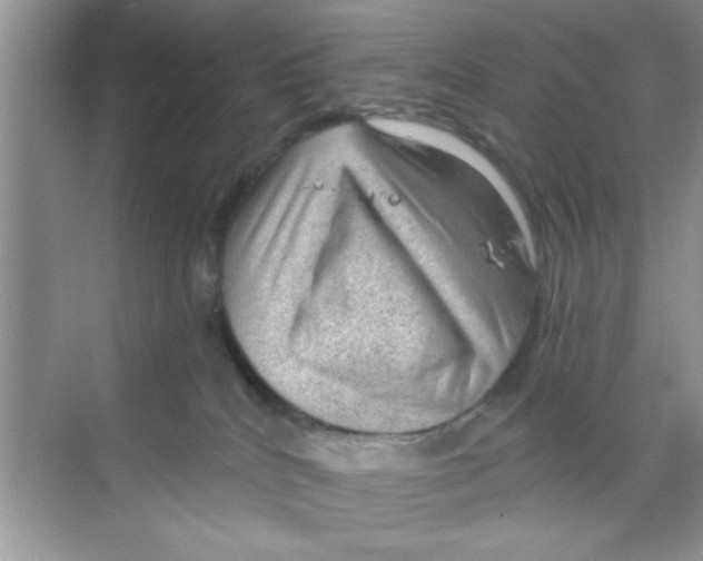 X0000068900040200606021957