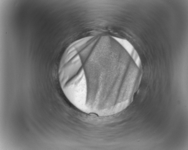 X0000068900043200606021957