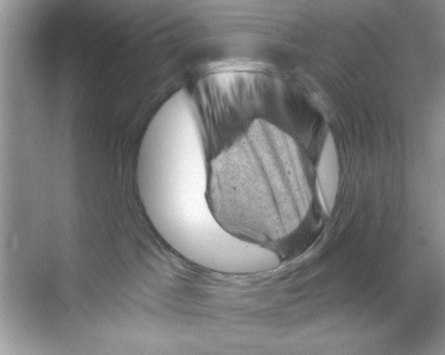 X0000068900045200606021956