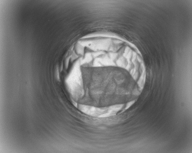 X0000068900046200606021956