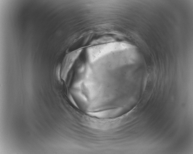 X0000068900047200606021956