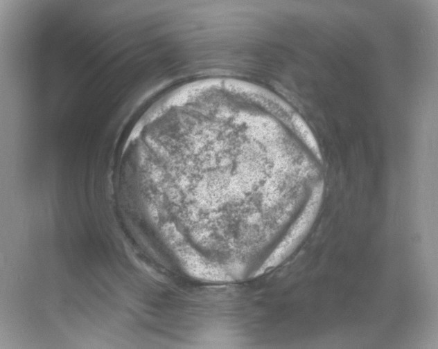 X0000068900050200606021956