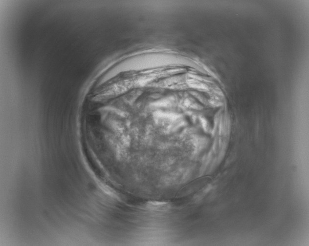 X0000068900055200606021956